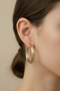 Gold and silver Earrings